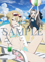 Blu-ray＆DVD1～5巻連動購入特典　アニメ絵柄描き下ろしB3タペストリー